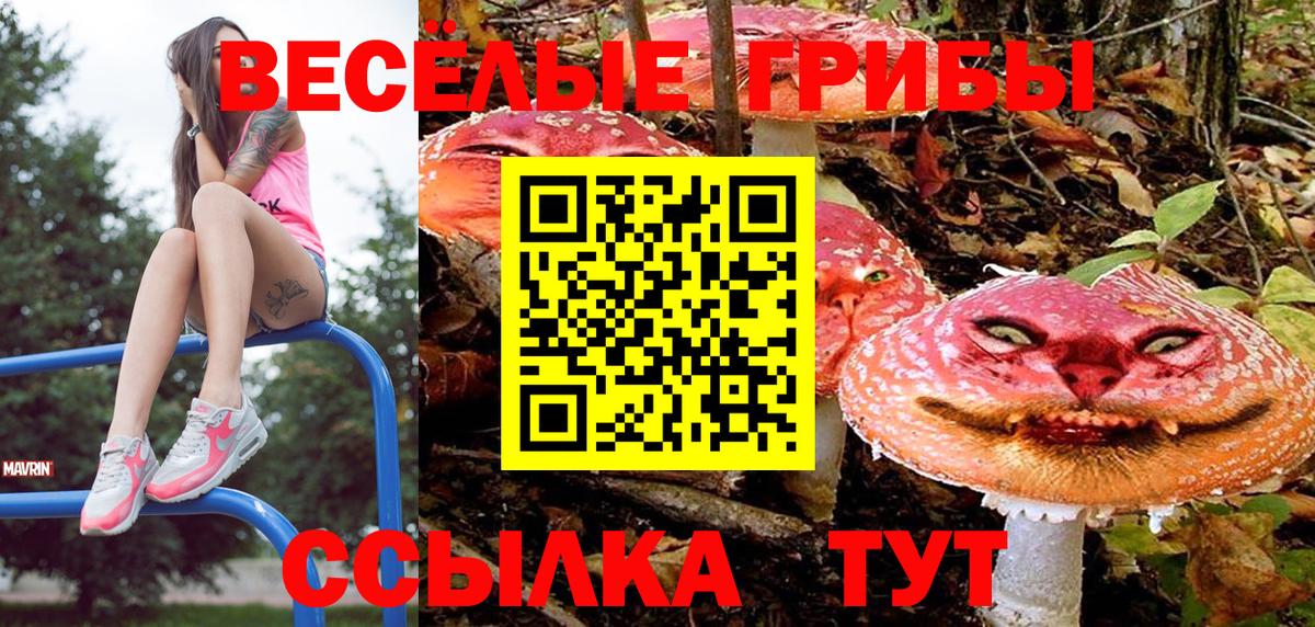 Рассказово  Галлюциногенные грибы Cubensis  закладки  Псилоцибиновые грибы Psilocybine cubensis  Вход с VPN 